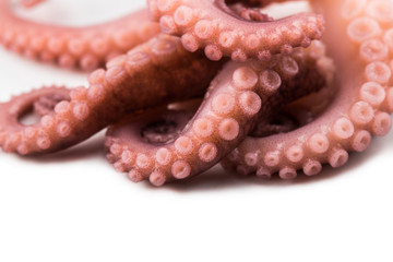 tentacles of octopus isolated on white background