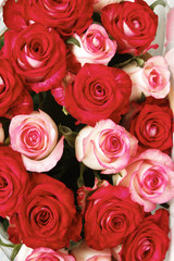 Bouquet of fresh roses.