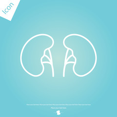 Human Organ Kidney Line Icon