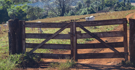 Farm gate, cattle on background. Concept image.