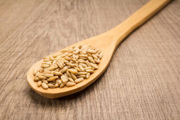 Oat cereal grain. Spoon and grains over wooden table.