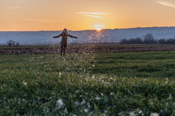 Freedom in dandelion fields