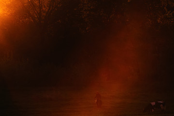 an old grandfather feeds his cow on the meadow near the forest