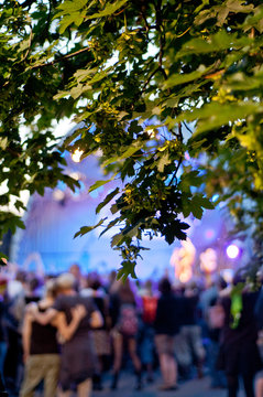 Bl&auml;tter im Abendlicht vor einer Open Air B&uuml;hne mit bunten Scheinwerfern