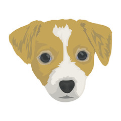 dog vector pet illustration