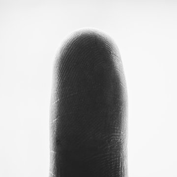 Makroaufnahme einer Fingerkuppe mit wei&szlig;em Hintergrund