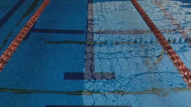 Water and pool lanes. Point of view of a swimmer from the pool starting blocks.

