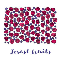 Obraz premium Forest fruits