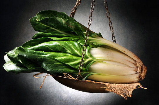 Beta vulgaris var. cicla Bietola Mangold Acelga Bieta Blette Bleda coste Мангольд Paniere 莙薘菜 di &Sigma;έ&sigma;&kappa;&omicron;&upsilon;&lambda;&omicron; consumo سلق