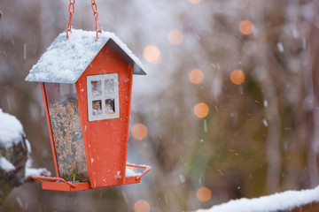 snow on bird feeder