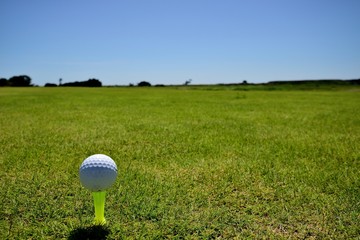 ドライバーショット