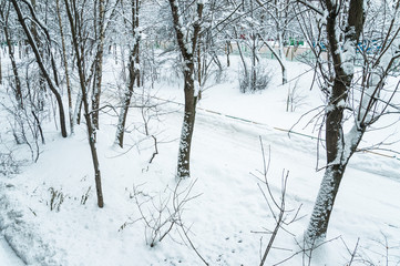 Winter in Moscow. Snow covered trees in the city. The view from the window after a heavy snowfall.