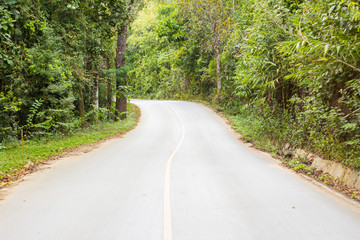 Obraz premium Road to the countryside