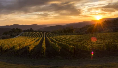 Fotobehang vineyards in tuscany sunset panorama © photonik87