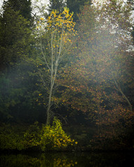 autumn on the river