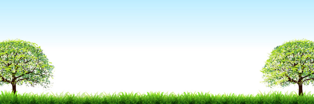 新緑　葉　エコ　背景 