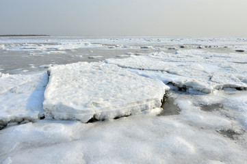 On winter sea ice