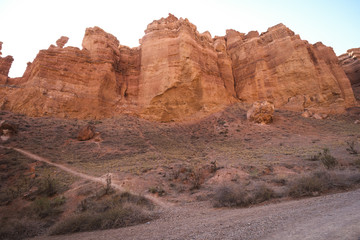 Fototapeta premium Scenic view inside Charyn canyon. Beautiful tree.