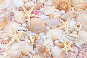 Starfishes, pearls, and amazing seashells close up