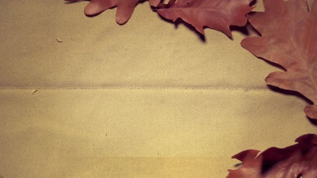 Autumn design. Creative basis for embroidering inscriptions and logos. Laying leaves of oak on a linen background.