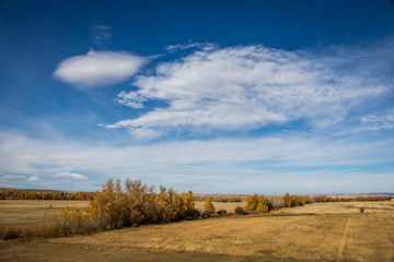 Fototapeta premium Elevated Rural Montana Photo of Grassy Field and Autumn Trees