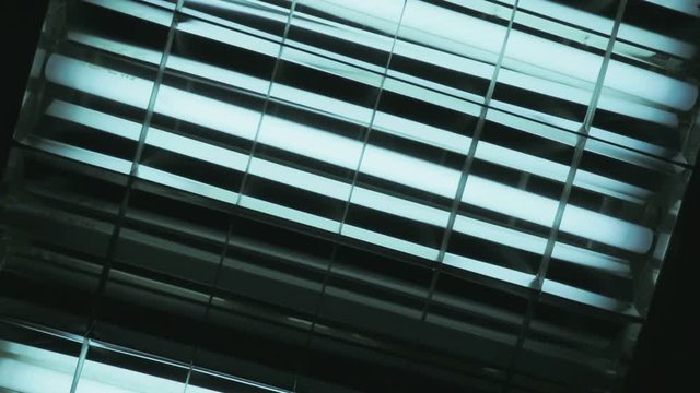 Fluorescent lamps. Technological lighting. Lamps gradually turn on