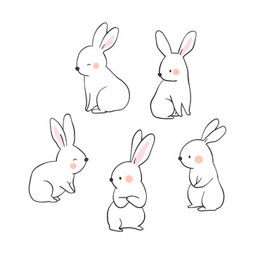 Vector illustration character design collection outline of cute rabbit Draw doodle cartoon style