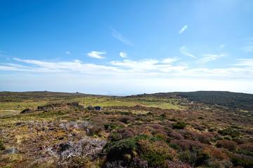 The way up hallasan mountain, Jeju island, South Korea.