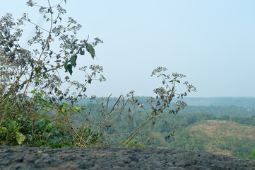 background  and mount 