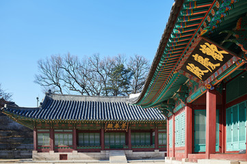 changgyeonggung palace scene in seoul, korea.