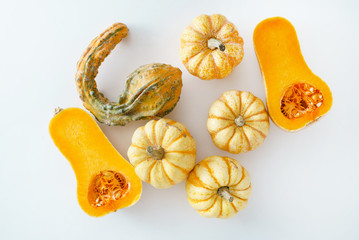pumpkins on the white background