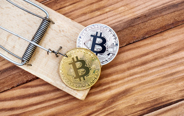 Trap with golden and silver bitcoin on the table. Top view.