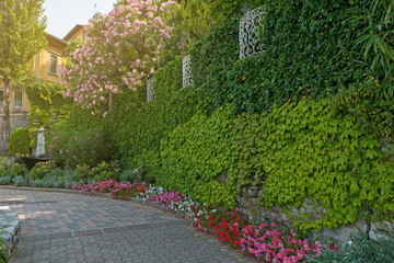 Beautiful small walkway with green leaves wall and colorful flowers along the walkway at Varenna town, lake Como, Italy.