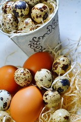 Quail eggs and  chicken eggs  - Easter composition.Easter Tradition - Selective focus
