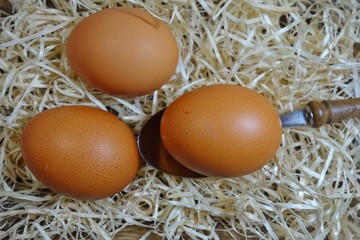  Chicken eggs.Easter theme