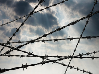 Barbed wired on dark cloudy sky background. 3D illustration