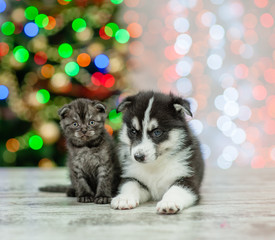 Fototapeta na wymiar Husky puppy and black kitten together on a background of the Christmas tree