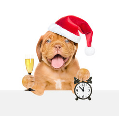 Happy puppy in red christmas hat holding glass of champagne and  alarm clock and peeking above white banner. isolated on white background