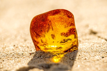 Amber on a beach of the Baltic Sea