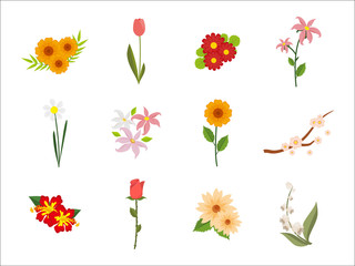 Decorative Flower Plant Illustration Set