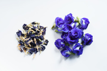 fresh butterfly pea flowers and dried