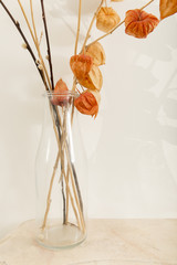 Clear Glass Vase Containing Wilted Flowers on White Background
