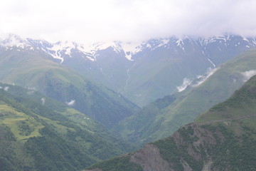 beauty of nature5544556