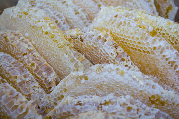 close-up view of the honeycomb with sweet honey; honey is beekeeping healthy produce bee honey