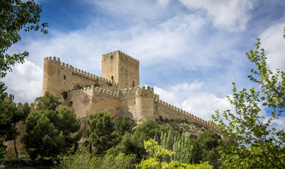 Obraz premium Almansa castle, Castilla la Mancha, Spain