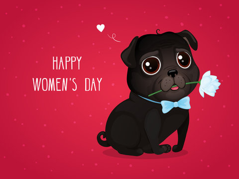 Greeting card for Women's Day with a cute black pug. Cartoon dog with flower on a red background. Vector illustration for a postcard or a poster. Text "Happy Women's Day ".