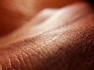 macro skin of hand
