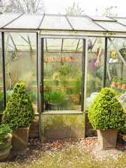 Small glass greenhouse with steamed up windows used for hibernating potted plants, Belgium
