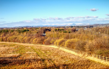 A photograph of the forest near the Edinburgh bypass, looking onto the start of the Highlands and the Queensferry Crossing
