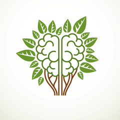 Tree Brain concept, the wisdom of nature, intelligent evolution. Human anatomical brain in a shape of tree with green leaves. Brain feeding with diet products. Vector logo or icon design.